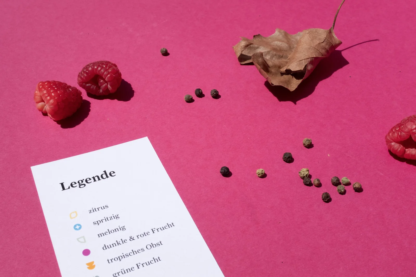 Imagebroschüre von Fein & Würzig mit Aromasymbolen, Moos und Beeren auf pinkem Hintergrund